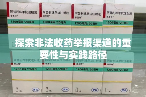 金华探索非法收药举报渠道的重要性与实践路径