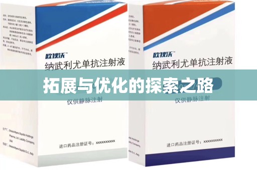 金华拓展与优化的探索之路