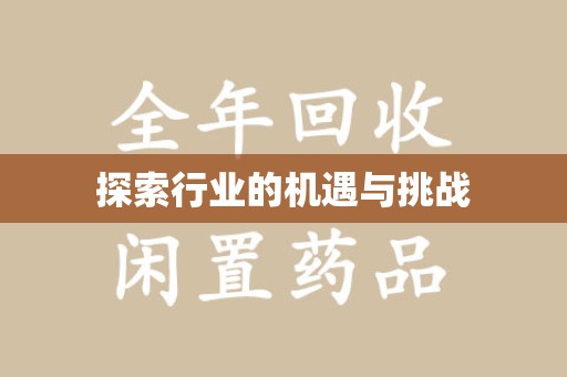 金华探索行业的机遇与挑战