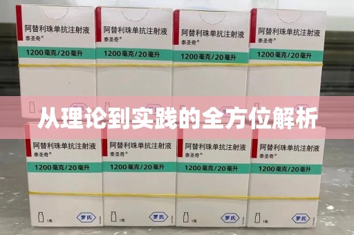 金华从理论到实践的全方位解析